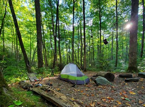 Great Smoky Mountains National Park makes changes to reservations, fees