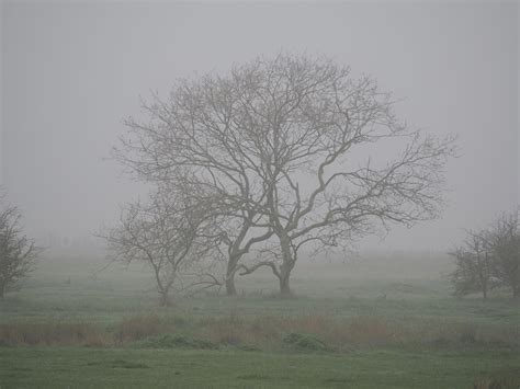 When will snow hit the UK this week? Met Office shares forecast