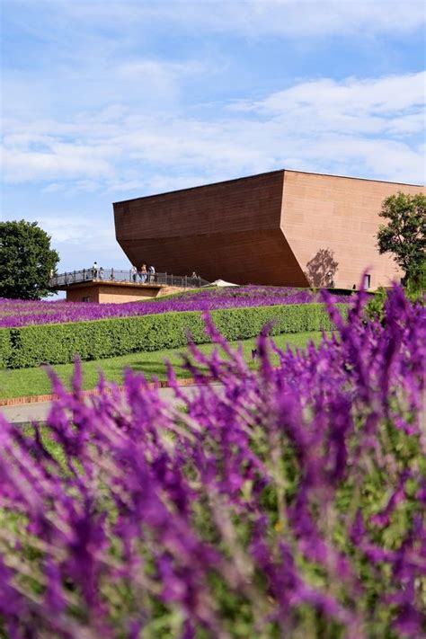 Captured my holiday blockbuster at Mile Dongfeng Yun | Trip.com Mile