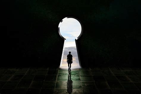 Spider Silk Has Been a Lab Curiosity for Decades; One Company Just Produced Over a Ton of It in ...