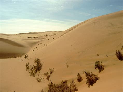 Gobi Desert | Map, Plants, Animals, & Facts | Britannica