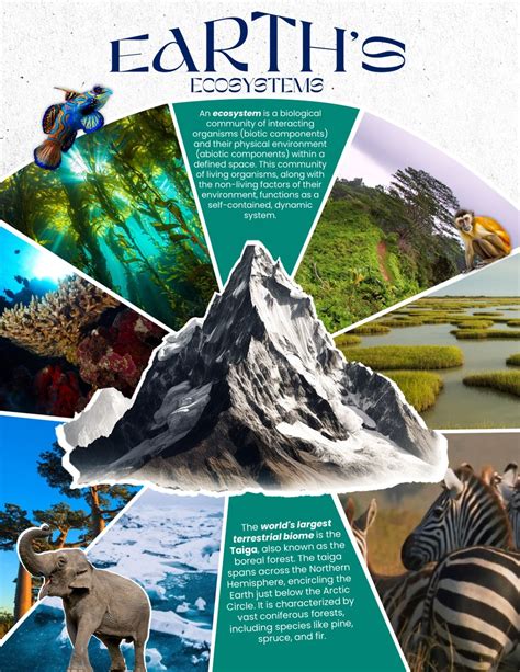 Ecosystem | Infographic illustration, Book design layout, Instagram ...