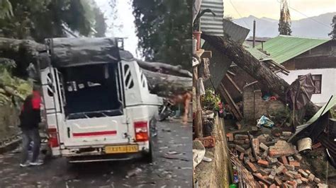 Tree fall during storm kills woman in Sikkim, three injured as severe ...