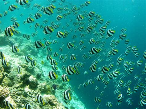 Niva Kurumba Maldives Massage: Pictures & Reviews - Tripadvisor