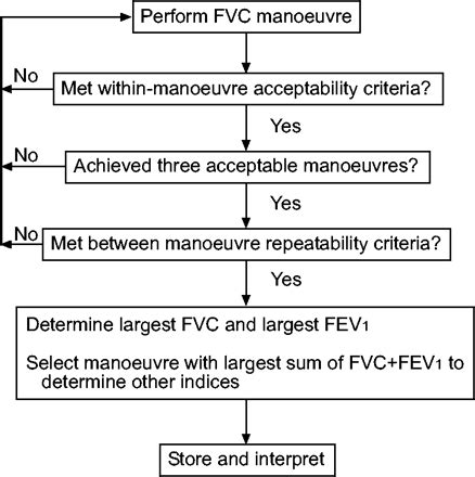 Standardisation of spirometry | European Respiratory Society