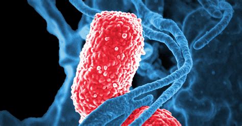 MRC Centre of Research Excellence: round four: invited full application ...