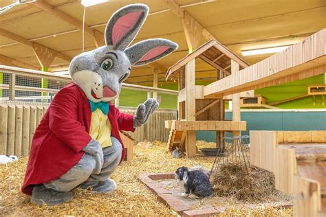 THE 10 BEST Indoor Things to Do in Redditch on a Rainy Day (2026)