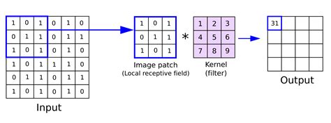 Part 3: Using CNN Models – Applied Soft Computing