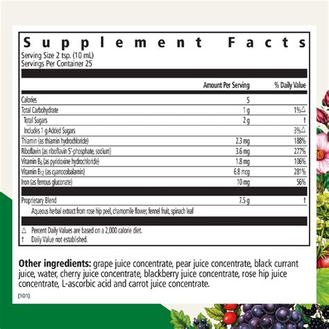 Floravital Liquid Iron & Vitamin Formula - Liquid Iron Supplement with ...