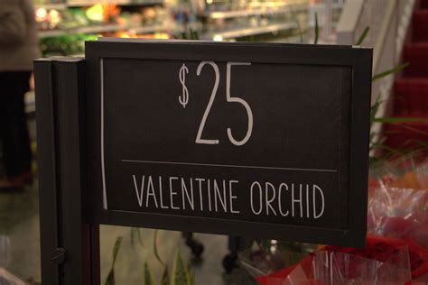 Holidays: mind over materialism - The Triangle