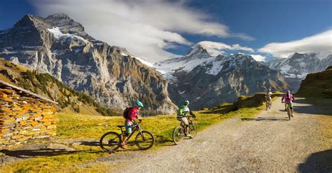 Cultura ed enogastronomia spingono i viaggi in bicicletta - Il Sole 24 ORE