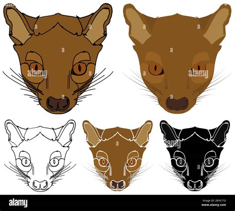 Fossa *** Stock Vector Images - Alamy