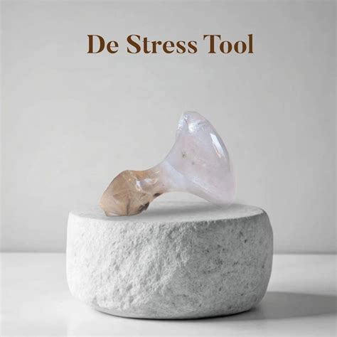 7 Ayurvedic Wellness Tools Worth Every Rupee