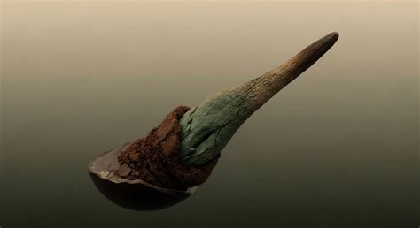 What Is Embodied Energy and Why Is It Important in Sustainable ...