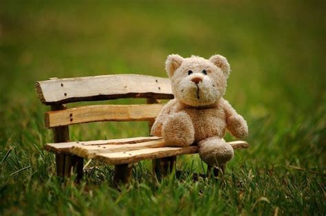 Diese Woche: Teddyklinik in Regensburg mit Familientag | charivari