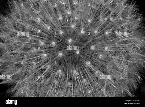 Top 15 MBA Programs 的图像结果