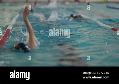 Professional swimmers training the backstroke style in a swimming pool ...
