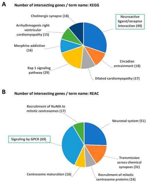 Comprehensive Analysis of the Placenta–Cortex Transcriptomic Database ...