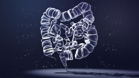 Qué es el norovirus identificado en el brote de gastroenteritis en ciudad de Brasil: síntomas ...