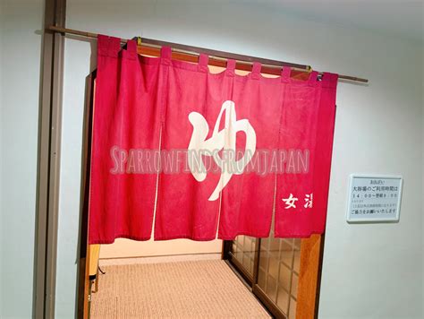 Step Inside a Japanese Onsen: What It Really Looks Like - Sparrow finds from Japan