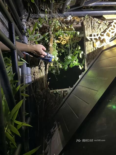 15岁女孩疑踩断湖边木板坠水身亡！景区回应引发质疑，警方介入调查