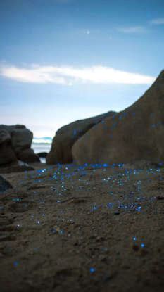 9 unique natural phenomena you can witness in India