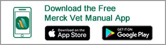 Skin and Feather Disorders of Pet Birds - Bird Owners - Merck ...