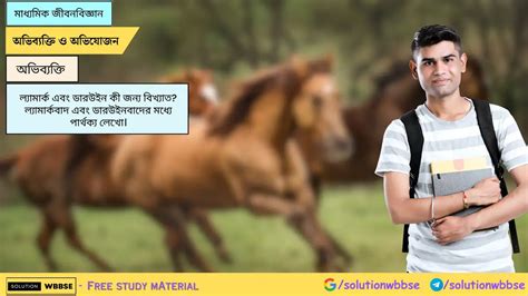 ল্যামার্ক ও ডারউইন কী জন্য বিখ্যাত? ল্যামার্কবাদ ও ডারউইনবাদের পার্থক্য