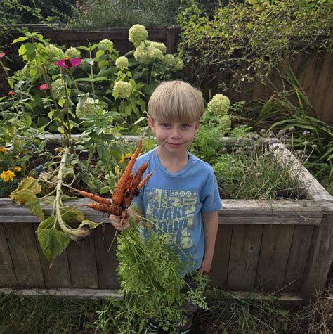 Change Minecraft Version Java 的图像结果