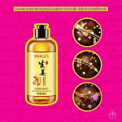 Shampoo De Jengibre Anti Caspa Caída Cabello Frizz Hidratante