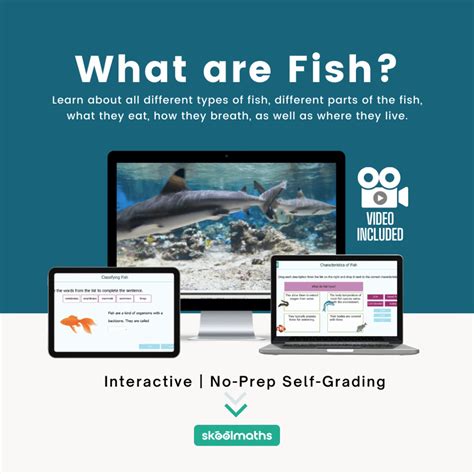 What are Fish? | Skoolmaths- Lessons. Revisions. Practice.