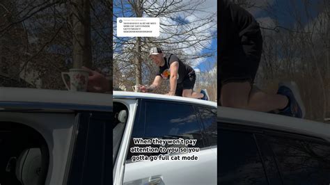 Watch what happens when this naughty cat causes trouble on the roof