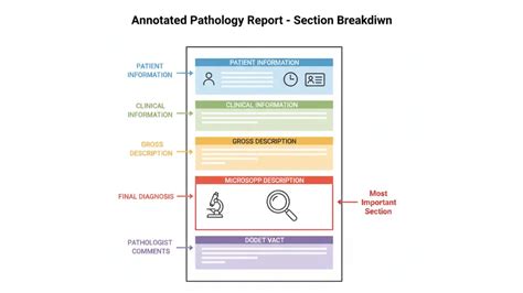 Biopsy Results 2026: How Long the Wait Is & What Comes Next