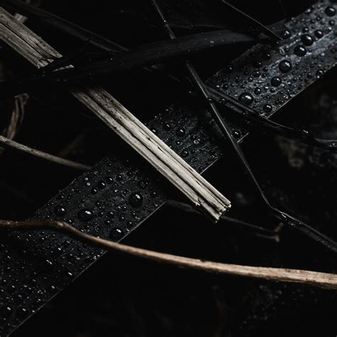 Ocean Thermohaline Circulation → Term