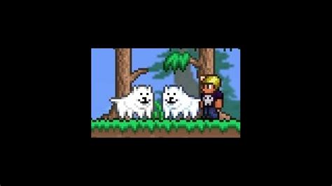 Annoying Dog adalah Paket Tekstur Kelinci untuk Terraria - Terraria ...