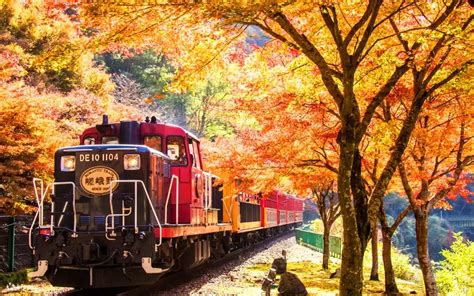 Kyoto Kinkaku-ji & Romantic Sagano Train Full-Day Discovery - Klook India