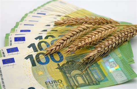 huf to inr से आपातकालीन पारिवारिक सहायता के लिए पैसा भेजना: क्या सबसे ...