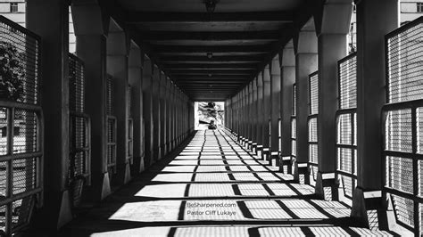 Psalm 14:1 – The Danger of Foolishness | Weekly Devotional - Weekly ...