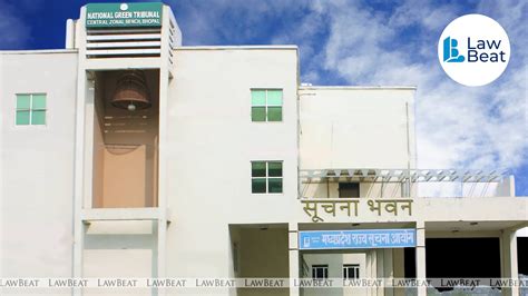 NGT Bhopal Questions Legality of Tree Felling for Kolar and Bangrasia ...