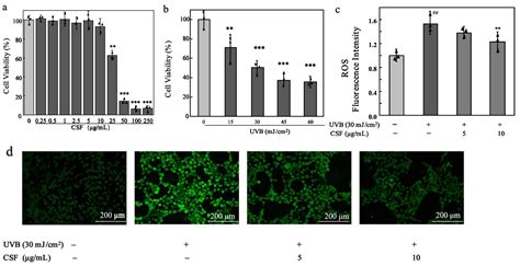 Camellia sinensis Seed Flavonoids Attenuate UVB-Induced Inflammation ...