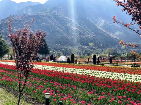Seven Years of the Abrogation of Article 370 | Dailyhunt