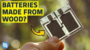 Growing batteries - wood battery explained