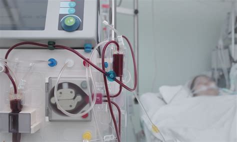 Beyond Dialysis: The Emerging Role of Regenerative Medicine in Treating ...