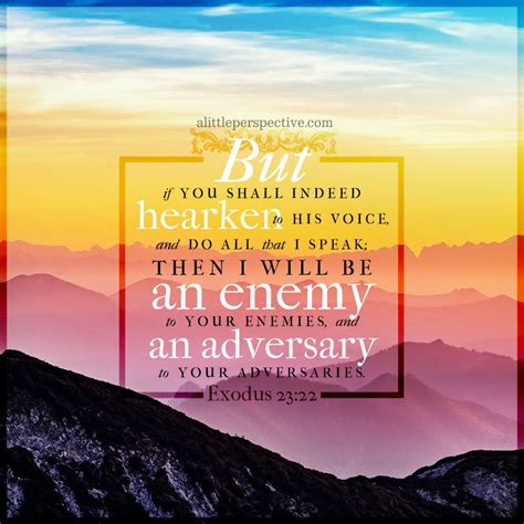 February 14 Bible Reading