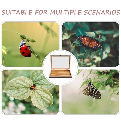 2pcs Specimen Display Box Collection Box Box Specimen Display Case ...