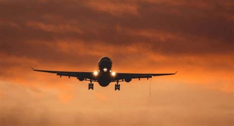 Items banned in air travel: These fruits cannot be carried on planes ...