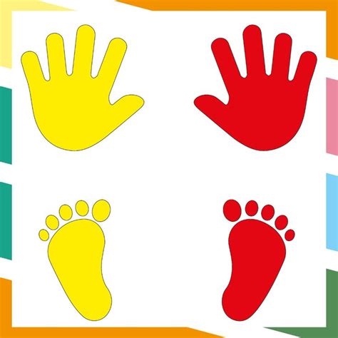 Ejercicios de lateralidad | Juegos didacticos para preescolar ...