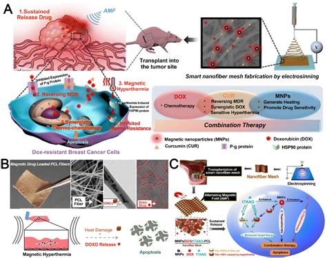 Recent advances in electrospun nanofiber-based implantable drug ...