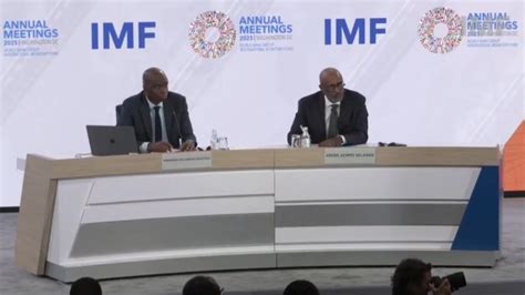 IMF projects Zimbabwe as Southern Africa’s best performing economy in ...