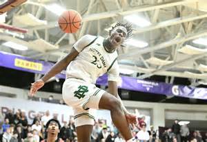 CT boys, girls basketball players nominated to play in McDonald's game